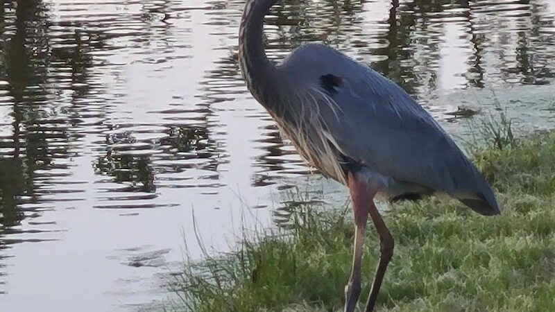 Tinker AFB FamCamp - Oklahoma City, OK