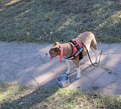 Wayman's Park - Oklahoma City, OK