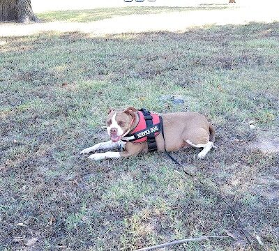 Wayman's Park - Oklahoma City, OK