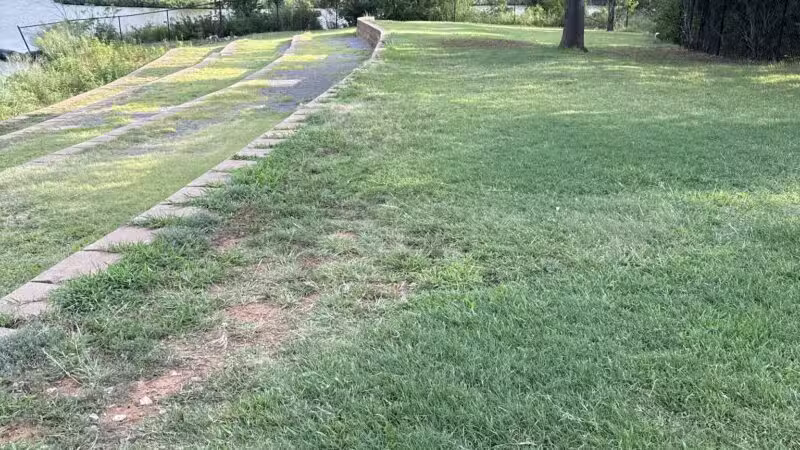 PAW OK Private Dog Park - Oklahoma City, OK