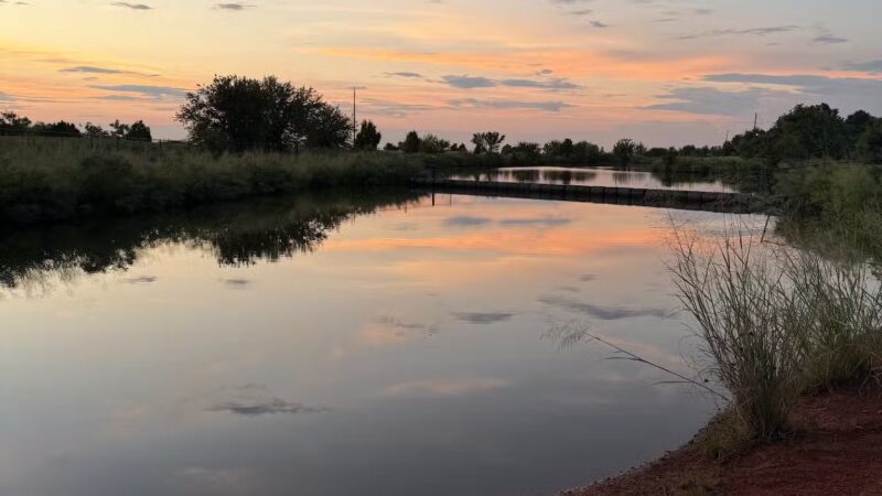 PAW OK Private Dog Park - Oklahoma City, OK