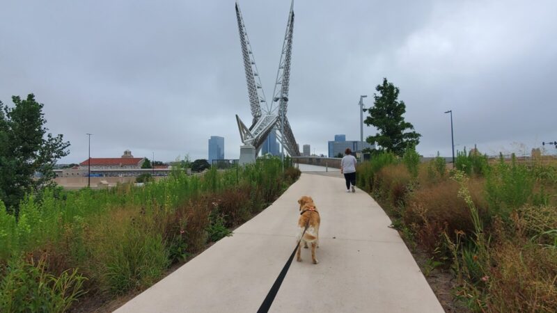Scissortail Park Dog Park - Oklahoma City, OK