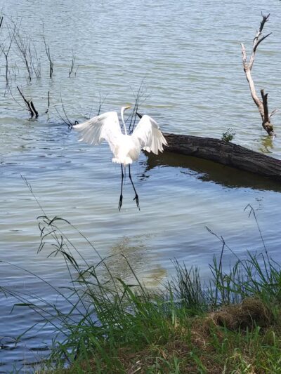 South Lakes Park - Oklahoma City, OK