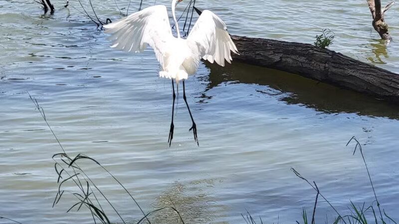 South Lakes Park - Oklahoma City, OK