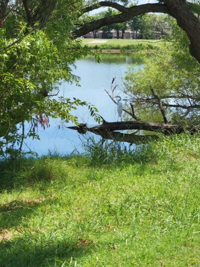 South Lakes Park - Oklahoma City, OK