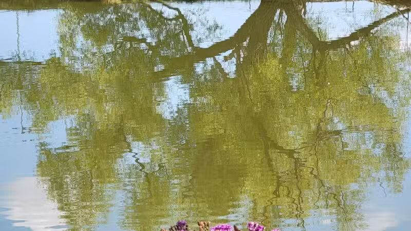 South Lakes Park - Oklahoma City, OK