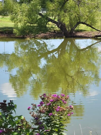 South Lakes Park - Oklahoma City, OK