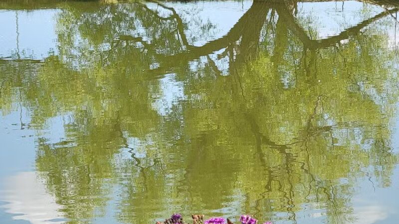 South Lakes Park - Oklahoma City, OK