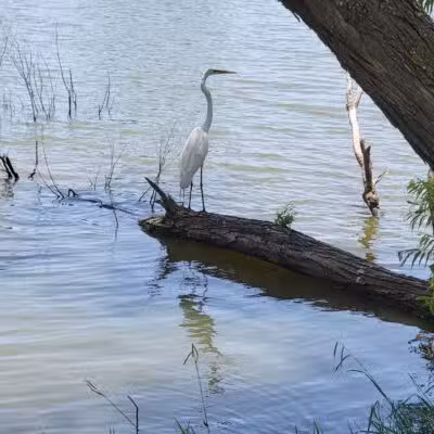 South Lakes Park - Oklahoma City, OK