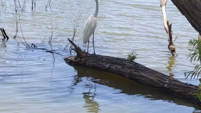 South Lakes Park - Oklahoma City, OK
