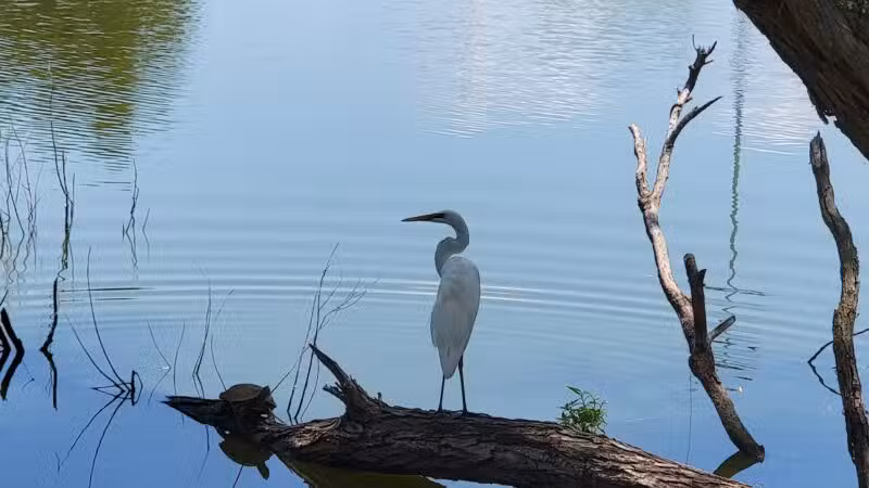 South Lakes Park - Oklahoma City, OK