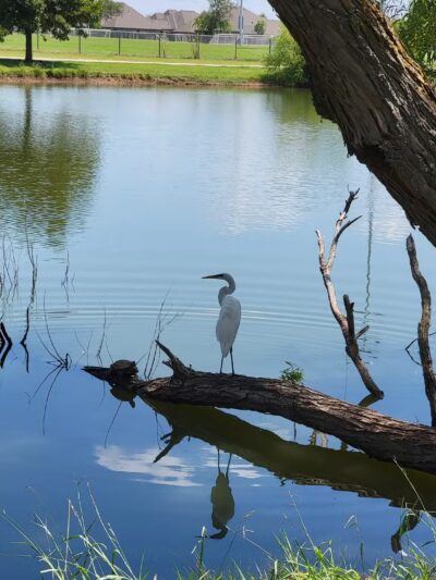 South Lakes Park - Oklahoma City, OK