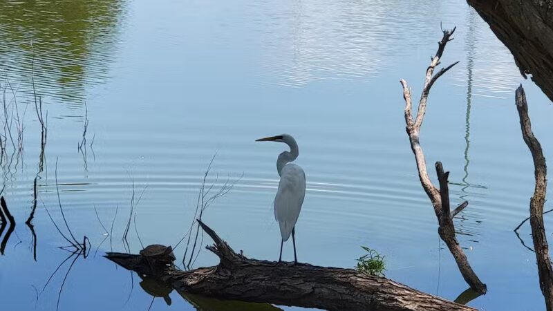 South Lakes Park - Oklahoma City, OK