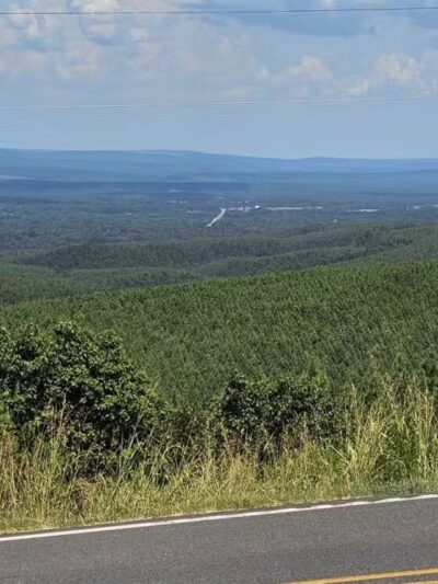 Roadside Park - Ola, AR