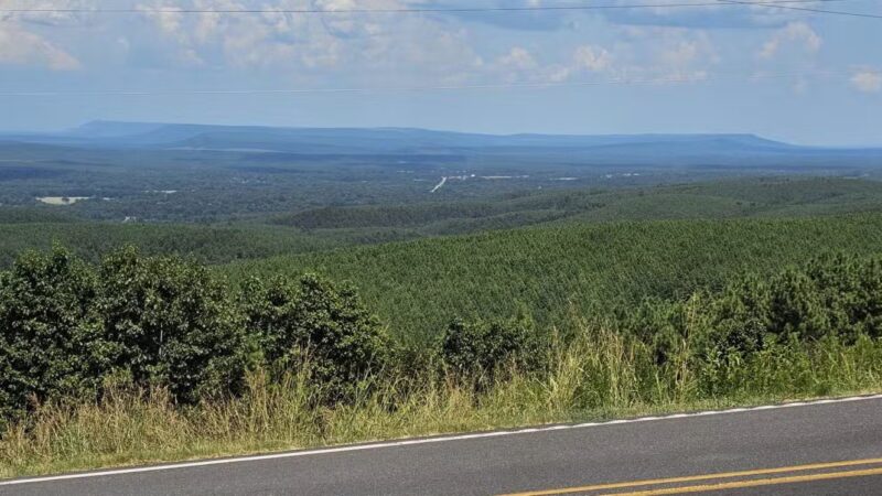Roadside Park - Ola, AR