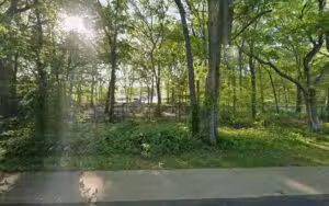 Old Bethpage Dog Run Park - Old Bethpage, NY