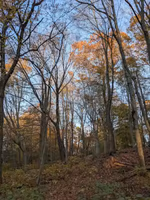 Laddins Rock Sanctuary - Old Greenwich, CT