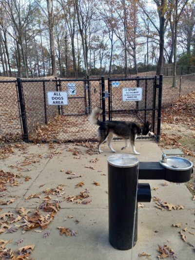 Olive Bark Dog Park - Olive Branch, MS