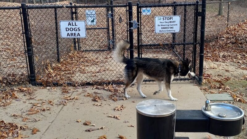 Olive Bark Dog Park - Olive Branch, MS