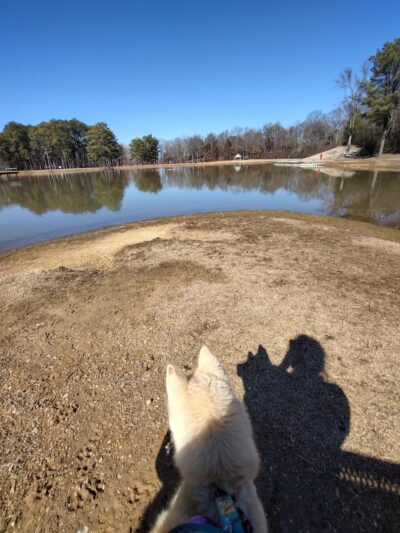 Olive Bark Dog Park - Olive Branch, MS