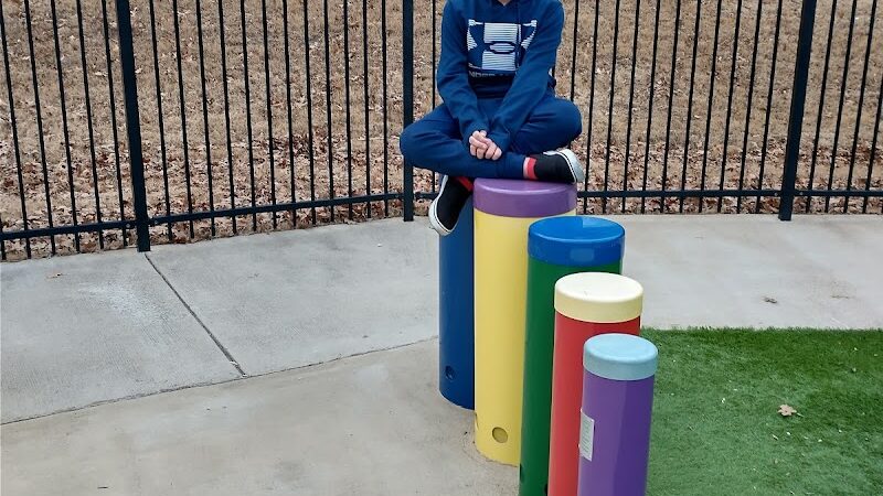 Olive Bark Dog Park - Olive Branch, MS