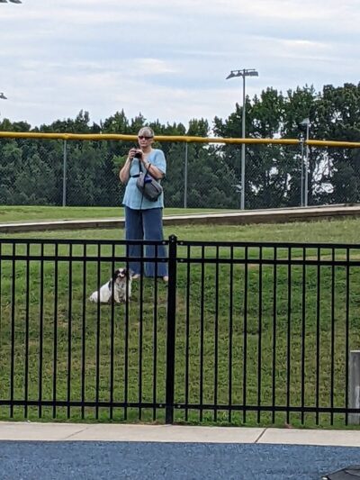 Olive Bark Dog Park - Olive Branch, MS