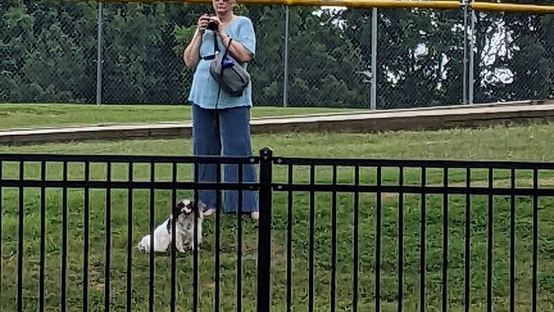 Olive Bark Dog Park - Olive Branch, MS