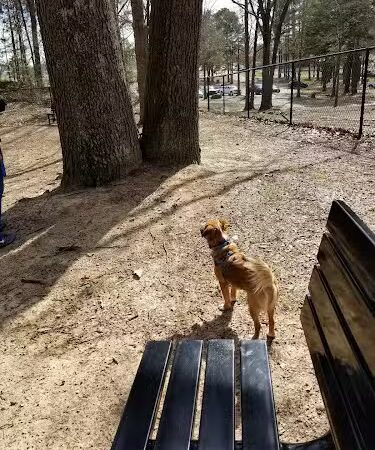 Olive Bark Dog Park - Olive Branch, MS