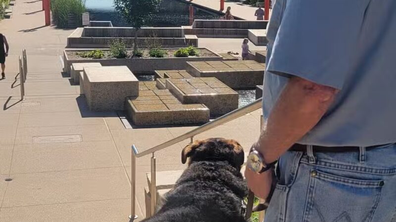 Gene Leahy Dog Park - Omaha, NE