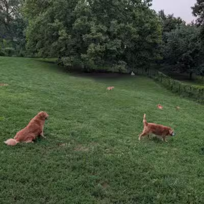 Hanscom Dog Park - Omaha, NE