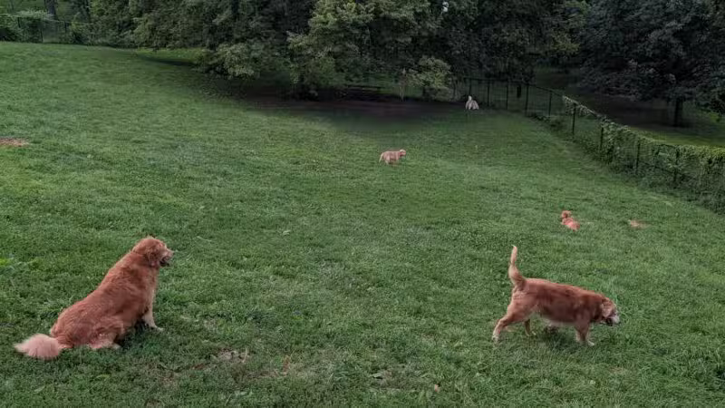 Hanscom Dog Park - Omaha, NE
