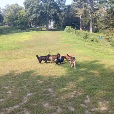 Hanscom Dog Park - Omaha, NE