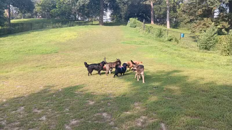 Hanscom Dog Park - Omaha, NE