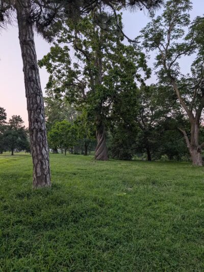 Hanscom Dog Park - Omaha, NE