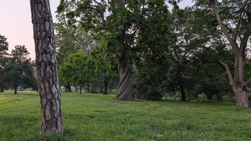 Hanscom Dog Park - Omaha, NE
