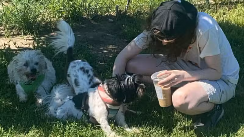 Hefflinger Dog Park - Omaha, NE