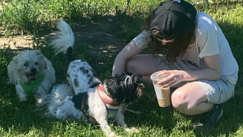 Hefflinger Dog Park - Omaha, NE