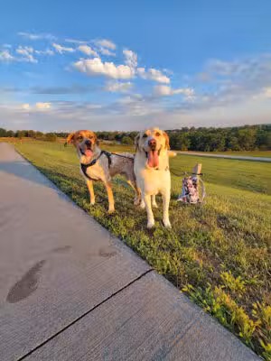 Chalco Hills Dog Exercise Area - Omaha, NE
