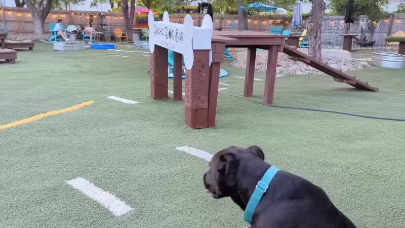 Omaha Dog Bar - Omaha, NE