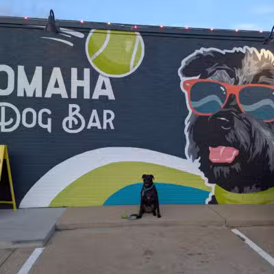 Omaha Dog Bar - Omaha, NE