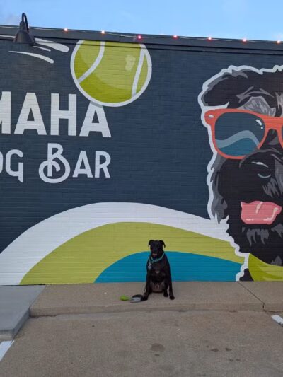 Omaha Dog Bar - Omaha, NE