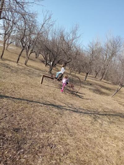 Chandler Park - Onaway, MI