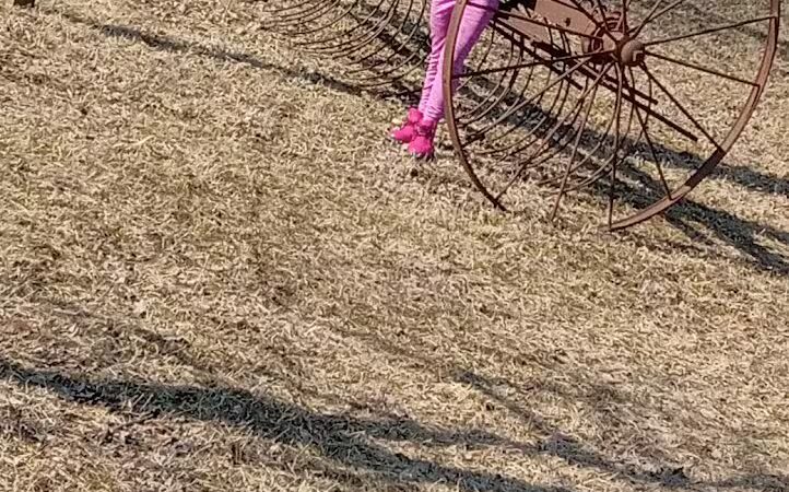 Chandler Park - Onaway, MI