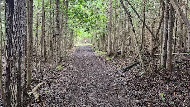 Onaway State Park - Onaway, MI