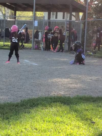 Onsted Village Park - Onsted,