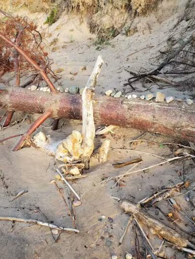 Green Park - Ontonagon,