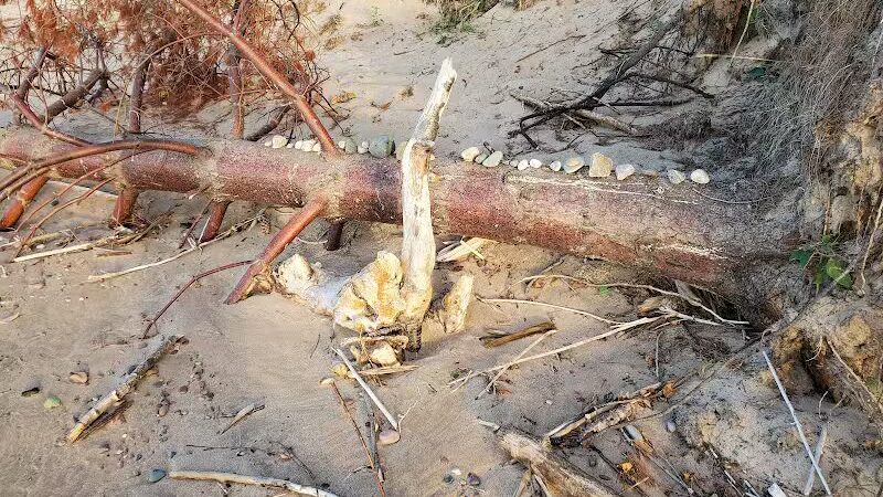 Green Park - Ontonagon,