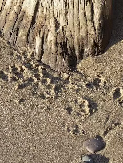 Green Park - Ontonagon,