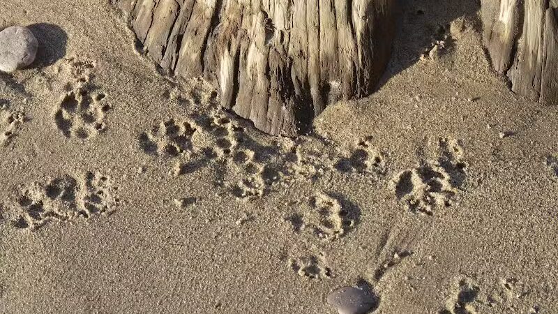 Green Park - Ontonagon,