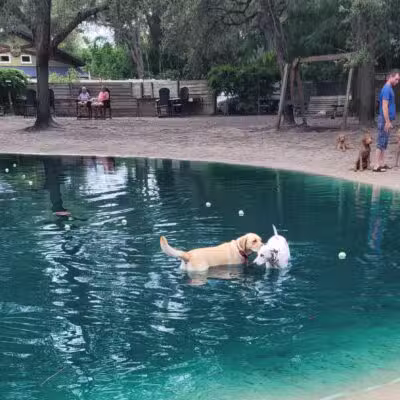 Poochie's Park - Orange Park, FL